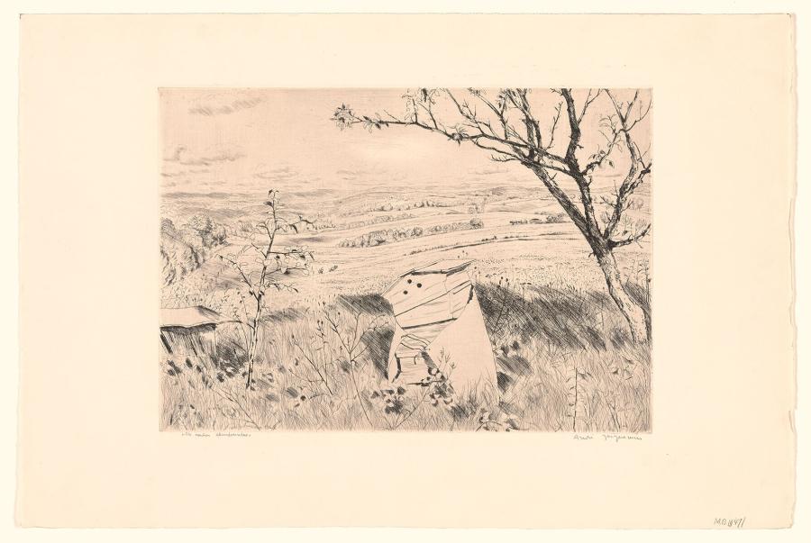 Les ruches abandonnees