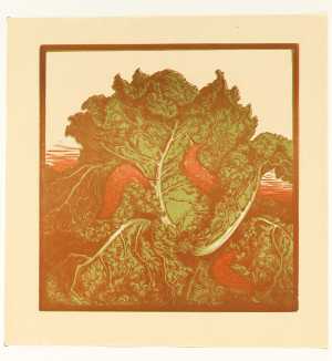 groenekool-met-slakken