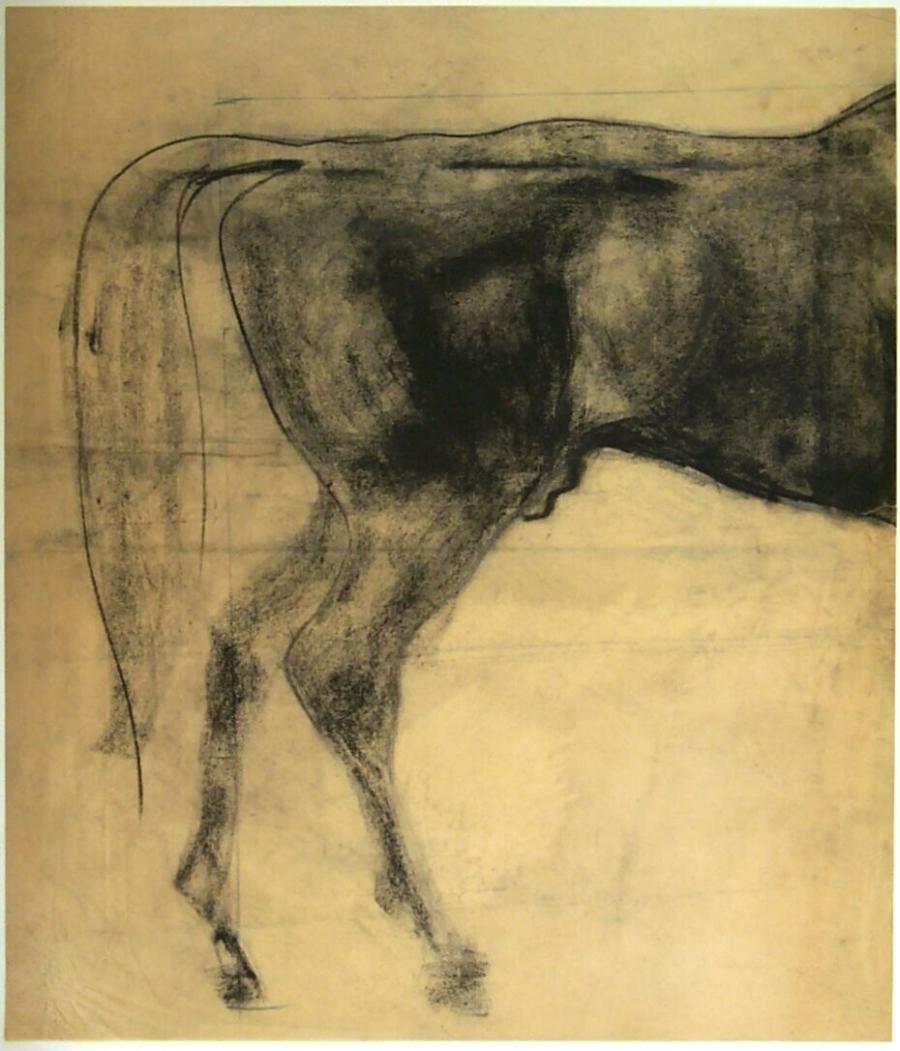 Study of the Back of a Horse