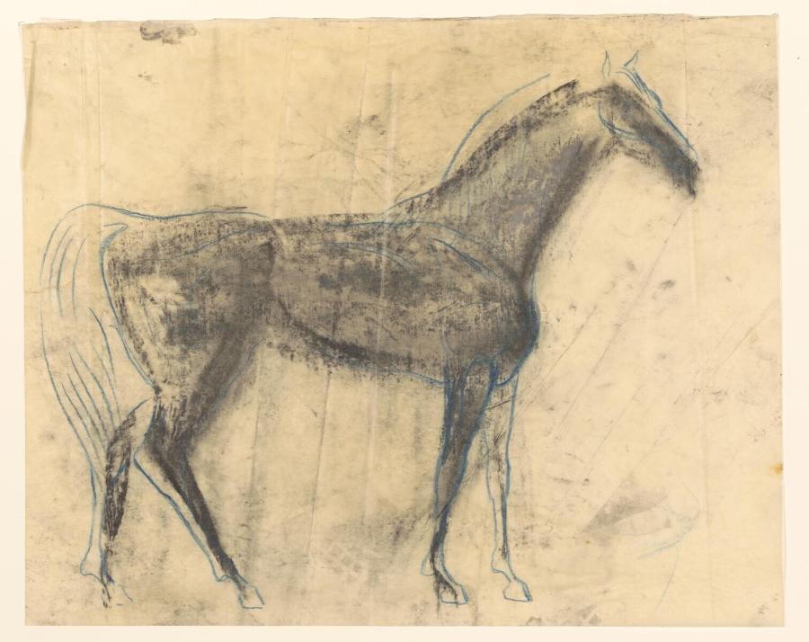 Studie van een paard, naar rechts