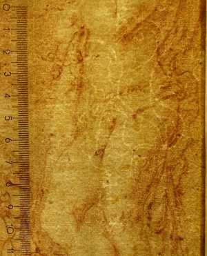 TMSFoto/PK/MB 1973-T 4 (PK)_2.jpg