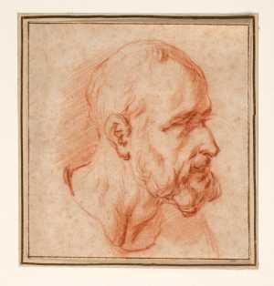 kop-van-een-man-met-baard-in-profiel-naar-rechts