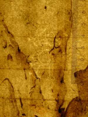 TMSFoto/PK/MB 1975 T 28 (PK)_2.jpg