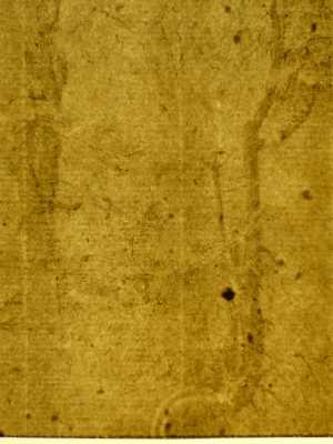 TMSFoto/PK/MB 1978-T 28 (PK)_3.jpg