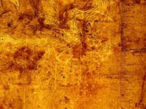 TMSFoto/PK/MB 1980 T 2 (PK)_1.jpg