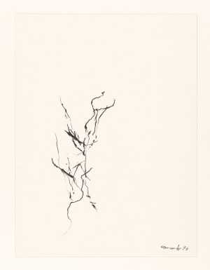 studie-zur-dekadenz-grote-versie