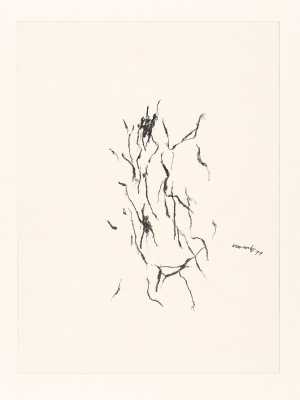 studie-zur-dekadenz-grote-versie