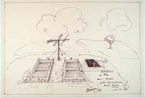 windows-in-the-grass-with-t-v-antenna-and-hole