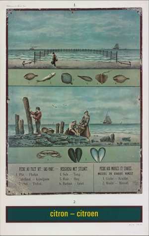 citron-citroen-reclame-pour-la-mer-du-nord