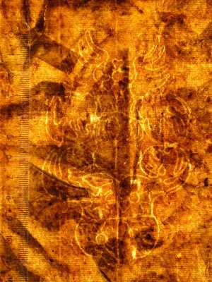 TMSFoto/PK/MB 1991 T 7 (PK)_2.jpg