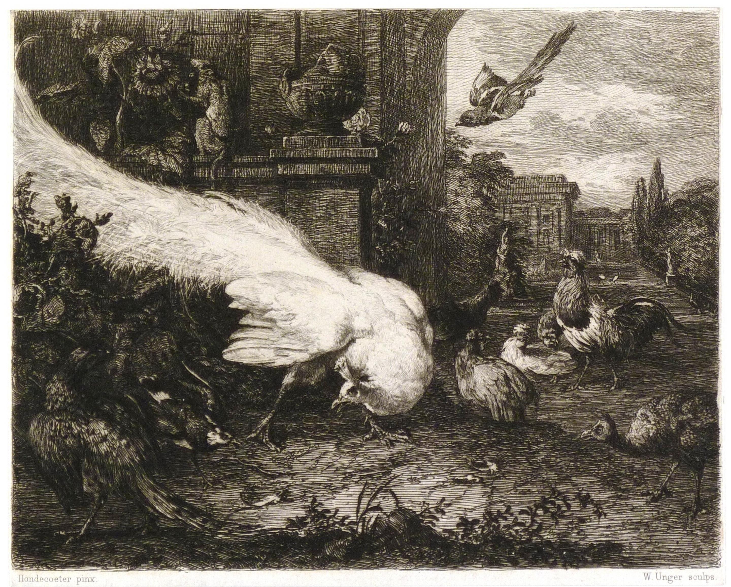 Melchior d' Hondecoeter Museum Boijmans Van Beuningen