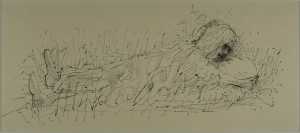Couple lying in the grass