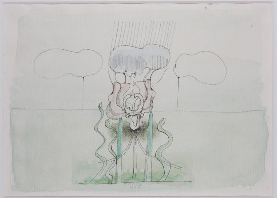 Regenwolken boven landschap met bloem