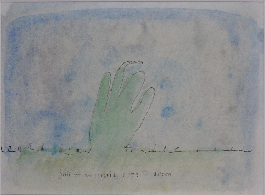 Handvormige plant buiten