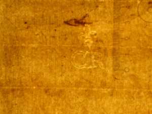 TMSFoto/PK/MB 2007 T 8 (PK)_1.jpg