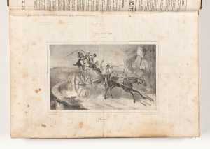 coricolo-paard-en-wagen