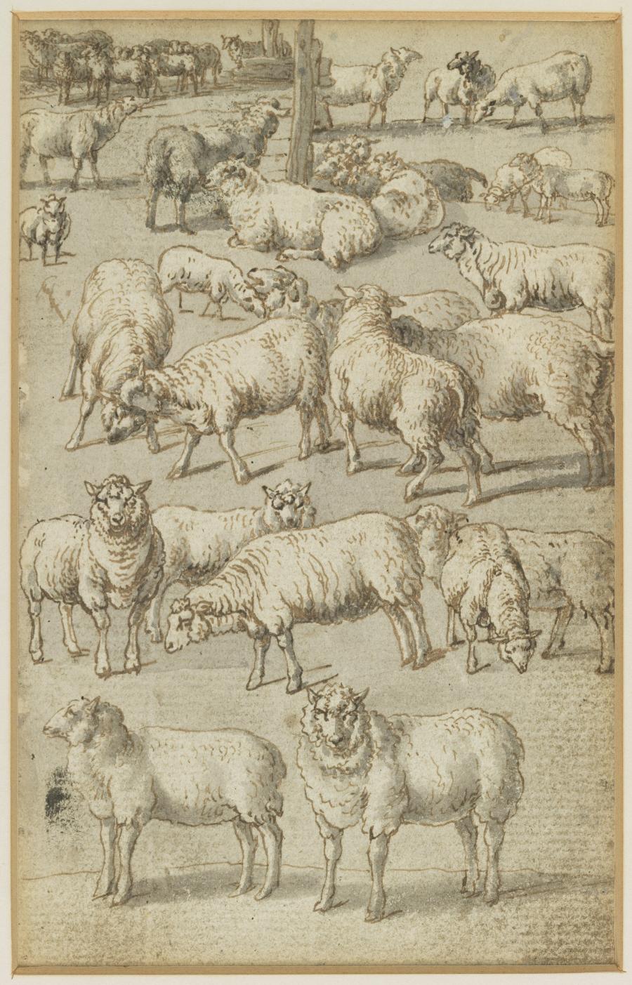 One of Seven Sheets with Studies from a Lost Drawing-Book: Sheep