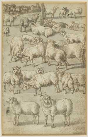one-of-seven-sheets-with-studies-from-a-lost-drawing-book-sheep