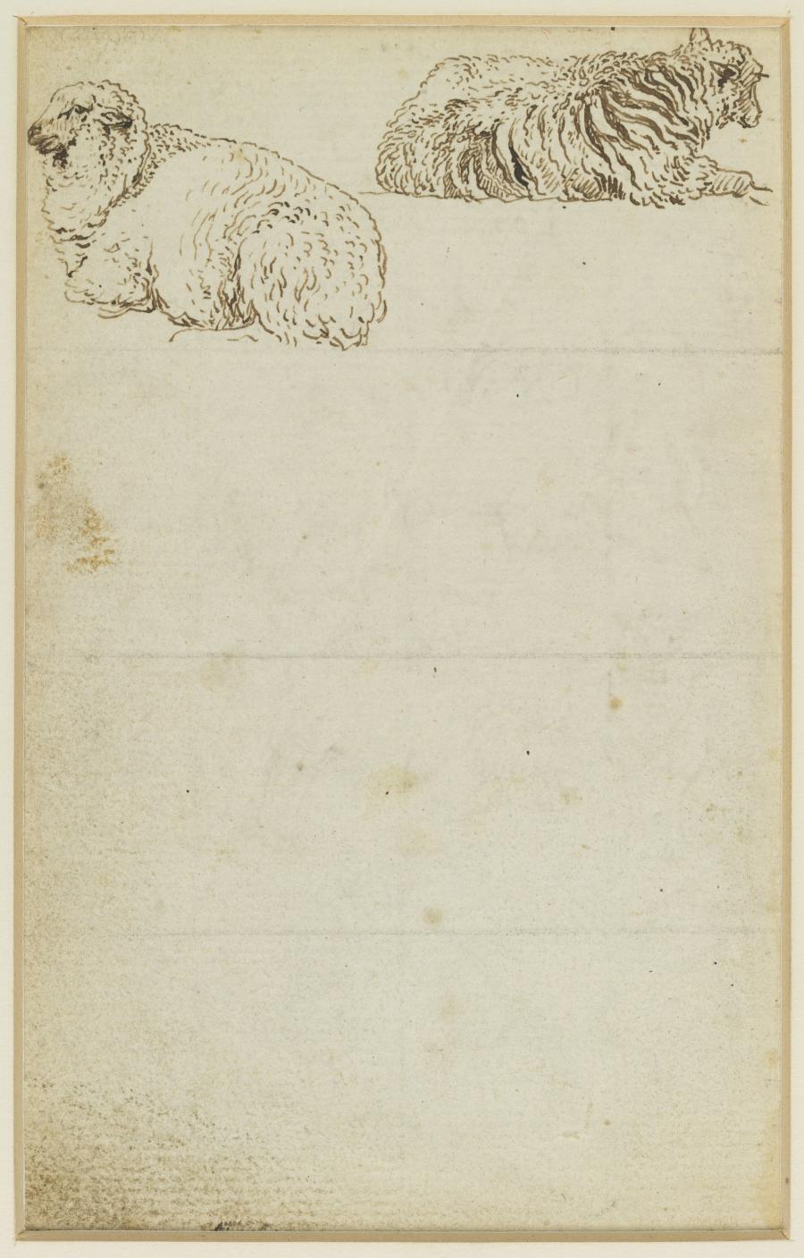 One of Seven Sheets with Studies from a Lost Drawing-Book: Two Sheep Lying Down