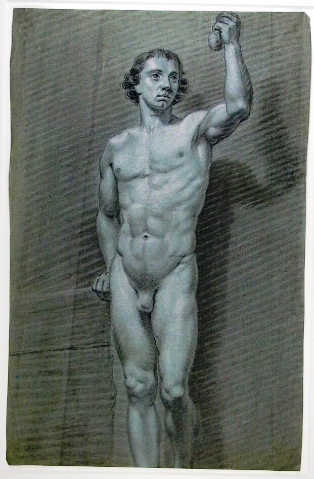 Standing Male Nude Model