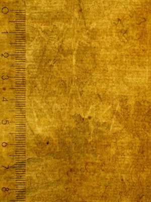 TMSFoto/PK/MB 2010 T 1 (PK)_6.jpg