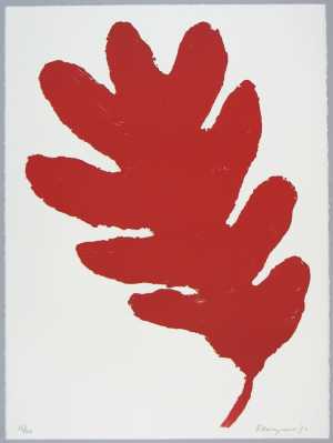 les-petites-miseres-d-un-demi-fou