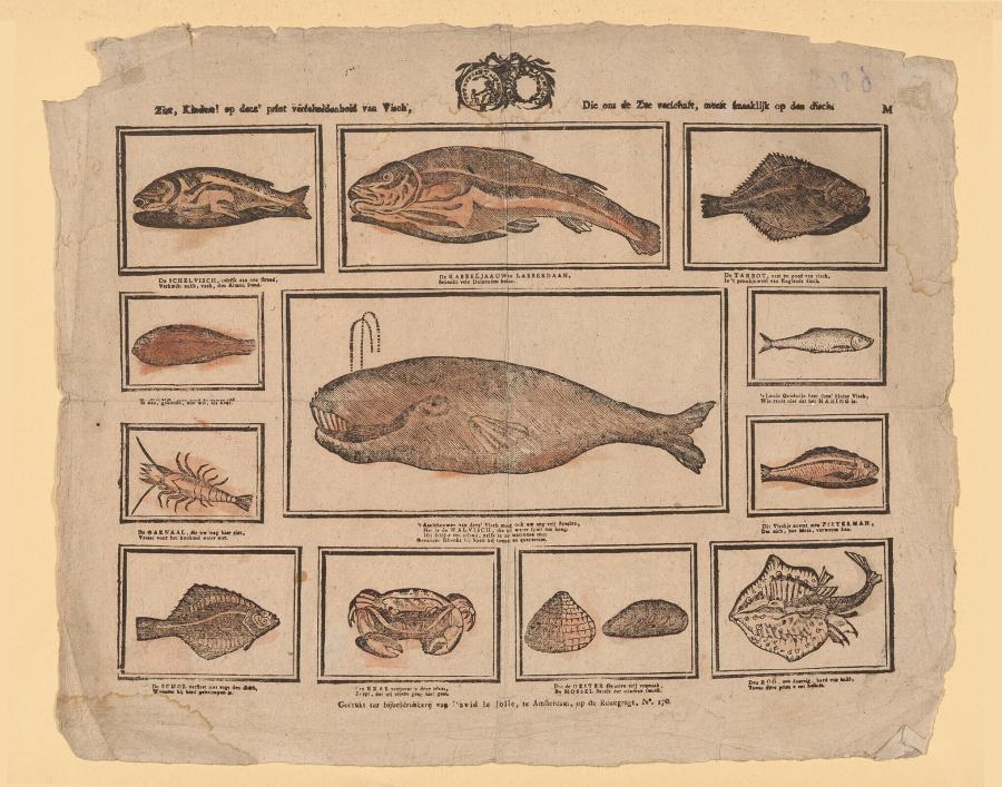 Catchpenny Print with Fish, Shellfish and a Whale