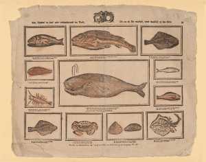 catchpennyprint-with-fish-shellfish-and-a-whale