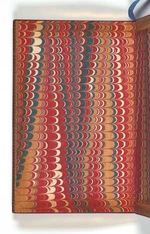 TMSFoto/PK/MB 2020-22 1-63 (PK)_9_JT20201027.jpg