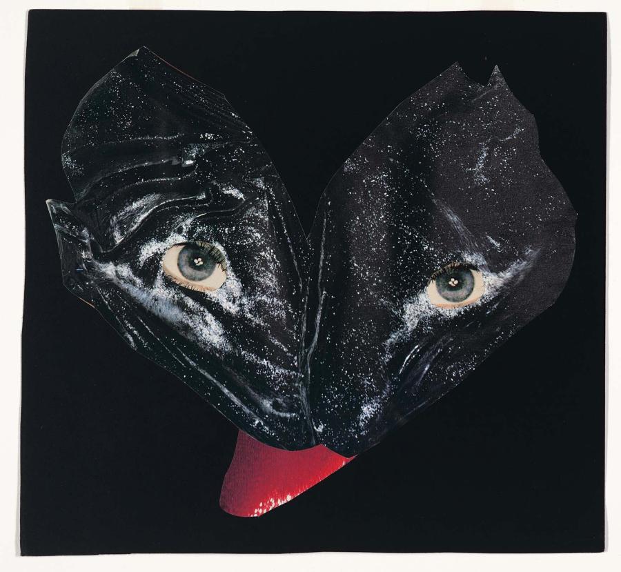 Het dier dat Noach geweigerd heeft