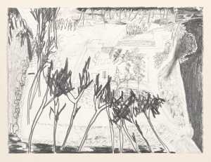 bewustzijn-van-schijn