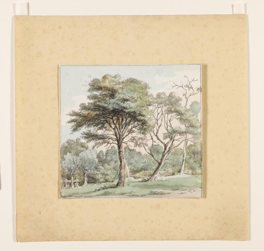 Landschapstudie met drie grote bomen