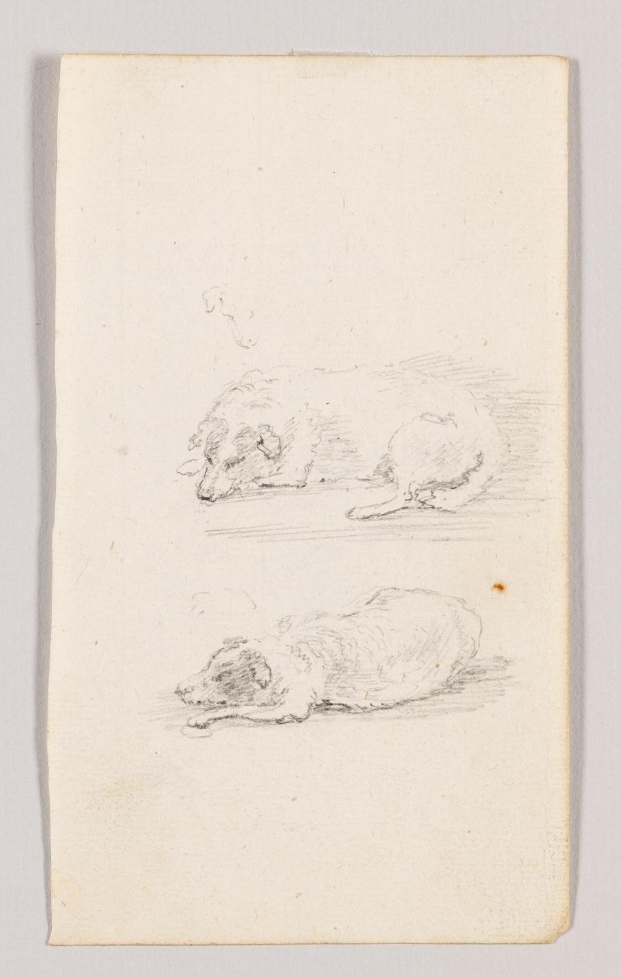 Studie van twee slapende honden