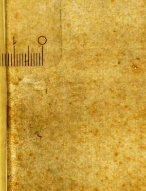 TMSFoto/PK/MB 308 (PK)_2.jpg