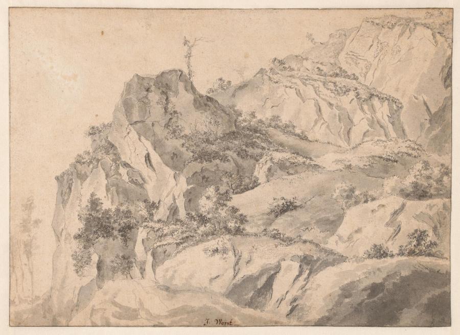 Landscape with Overgrown Rocks
