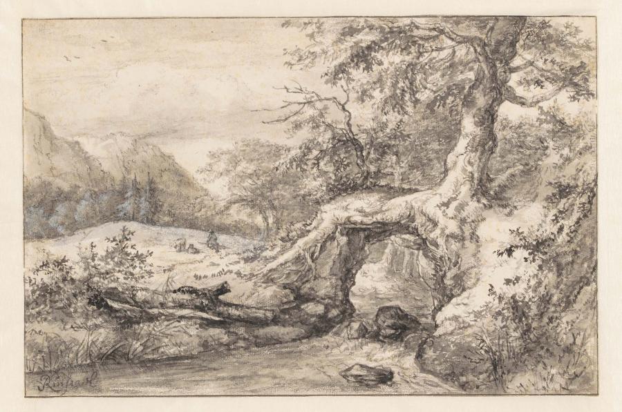 Landscape with a Tree Standing over a Creek
