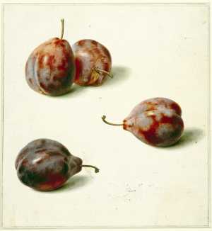 study-of-four-blue-plums