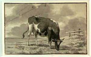 grazende-koe-in-een-weiland-uit-een-serie-van-twaalf-studiebladen