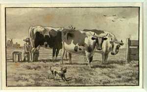 drie-koeien-met-een-melker-in-een-weiland-uit-een-serie-van-twaalf-studiebladen