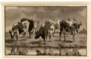 vijf-koeien-staand-in-een-weiland-aan-een-sloot-uit-een-serie-van-twaalf-studiebladen