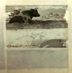 liggende-koeien-in-een-weiland-uit-een-serie-van-twaalf-studiebladen