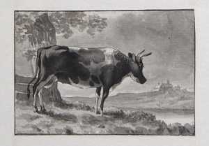 liggende-koe-in-een-weiland-bij-een-boom-uit-een-serie-van-twaalf-studiebladen