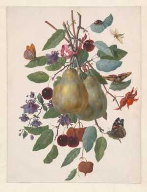 twig-with-two-pears