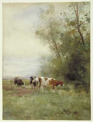 Koeien in de weide