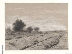 landschap-bij-ochtendgloren-provincie-drenthe