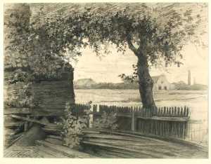 farm-yard-with-a-tree-in-the-surroundings-of-amsterdam