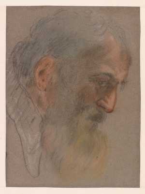 Head of a Bearded Man in Profile Facing Right