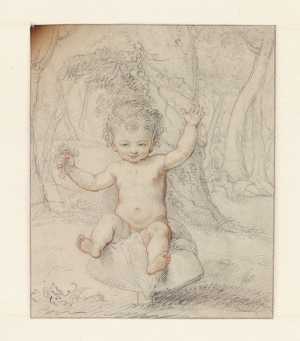 een-kind-in-een-bos-op-een-paddestoel