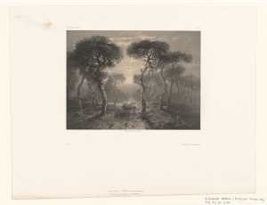 forest-near-sierre-in-valais