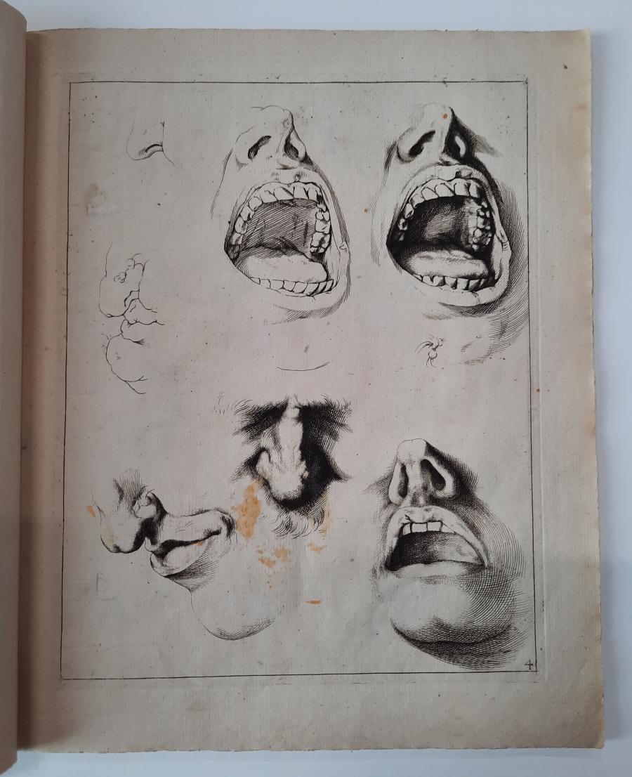 Studies van monden en neuzen